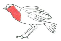 PastedGraphic